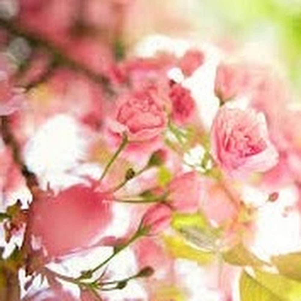 Meet your Posher, SJ